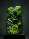 Emerald Forest Dome